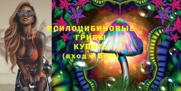 индика Козельск