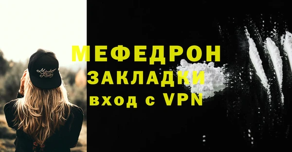 индика Козельск