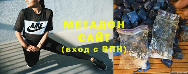 индика Козельск