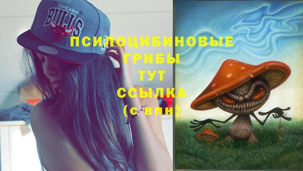 амф Корсаков