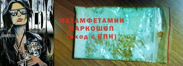 индика Козельск