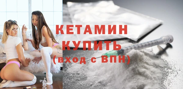 индика Козельск