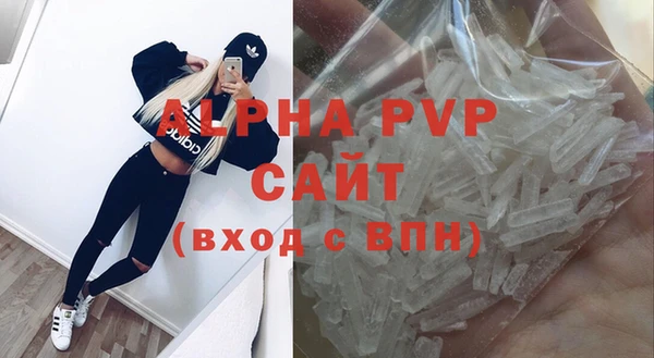 индика Козельск