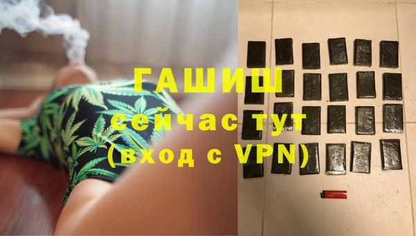 индика Козельск