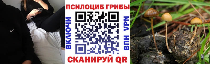 Купить где  Волчанск  Галлюциногенные грибы GOLDEN TEACHER 